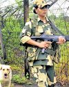 Thermal cameras, canines aid BSF at Bangla border