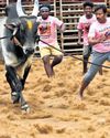 Bull, bike, and a fun ride