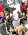 U'Khand Avalanche Toll Rises To 8, Rescue Act Over6