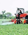 Saffron Sizzles, Broccoli Beckons: New-Age Farming Saffron Sizzles, Broccoli Beckons: New-Age Farming