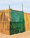 After record deaths, TN secured 2.6L turtle eggs, highest in last 6 years After record deaths, TN secured 2.6L turtle eggs, highest in last 6 years