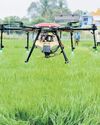 Survey flags need for social security net for agri workers, precision farming Survey flags need for social security net for agri workers, precision farming