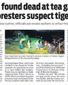 Leopard killed Ooty woman, not tiger, say forest officials