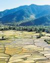 Non-locals make a beeline to buy land after abrogation of Art 370 Non-locals make a beeline to buy land after abrogation of Art 370