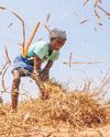 Ghost vehicles used in transporting paddy to rice mills in ₹30 cr MP scam31