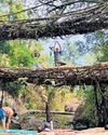 Yoga Takes Over Meghalaya's Living Root Bridge39