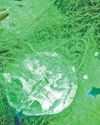 Divers Find Proof of Ghost Net Impact on Turtle, Reef7