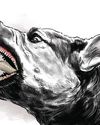 HC asks TN to consider declaring rabies in animals a notifiable disease HC asks TN to consider declaring rabies in animals a notifiable disease