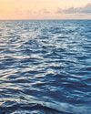 High level of dissolved lead in Indian Ocean: Study High level of dissolved lead in Indian Ocean: Study