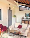 A resilient and stylish indoor vine A resilient and stylish indoor vine