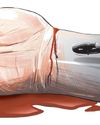15% drop in road fatalities in first three months of 2025: TN police 15% drop in road fatalities in first three months of 2025: TN police