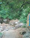 Steel bridges on way to Sathuragiri Hills to prevent flash flood tragedies Steel bridges on way to Sathuragiri Hills to prevent flash flood tragedies