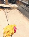 4-Year-Old Drowns in Water Tank at Madurai Playschool 4-Year-Old Drowns in Water Tank at Madurai Playschool