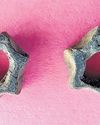 2 Terracotta Ornaments Unearthed at Vembakottai