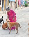 Friends 'Fur' A Lifetime Friends 'Fur' A Lifetime
