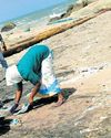 Nurdles Spotted in 36 of 42 Coastal Villages in Kumari, Says Collector25