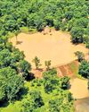 Greener side of Bastar as forest cover increases42