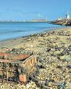 Discarded fishing gear major cause of marine debris in 13 TN districts23