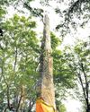 26ft Tiruppur menhir likely to be declared protected monument22