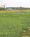CM to Kick-Start Adyar River Restoration Project in Sept17