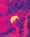 'Roaring' drones keep jumbos at bay in Gudalur8