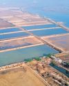'Land grab' by shrimp farms threatens Pulicat sanctuary7
