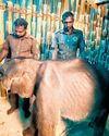 Stranded Jumbo Calf Brought to ATR Camp as Bid to Reunite with Herd Fails9