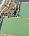 Pulicat 'land grab': Shrimp farm units may face action6