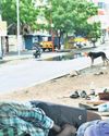 81% of destitute people homeless for generations9