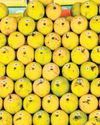 Centre announces MSP for mangoes from K'taka29