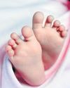 Over 40 Families Queue Up to Adopt 'Veer' in UP37