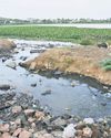 Finish Anakaputhur Sewage Work in a Month: CS10