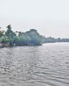NGT grills TN on MRC land handover, asks why it can't be made waterbody12