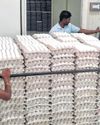 Namakkal eggs break out of shell, go to US19