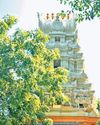 Ancient Temples of Satharai74
