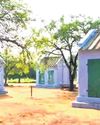 100 Virudhunagar cracker units shut doors as NGT-ordered audit begins20