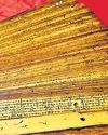 Culture ministry to prepare separate SOPs for preservation of manuscripts The New Indian Express Chennai
