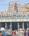 Animal sacrifice cannot be permitted on Thiruparankundram hill, says HC14