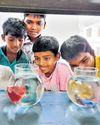 The New Indian Express