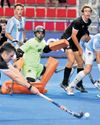 Argentina and NZ play out thriller64