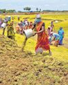 BJP-led centre wrecking MGNREGA: Stalin BJP-led centre wrecking MGNREGA: Stalin16