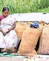 Tweaking paddy norm may lead to loss, can't accept it: Union min14