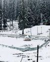 Kashmir turns white in season’s first snowfall40