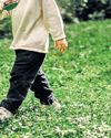 Choosing the right grass for your garden90