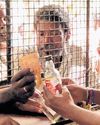 Empty bottles pile up as Tasmac's buy-back scheme fails to take off11