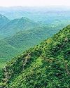 ‘Raj auctioned 50 new mining leases in Aravalli’41