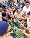 Ruckus erupts on HC campus over removal of stray dogs12