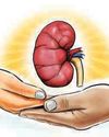 Tiruchy hosp’s kidney transplant surgery licence suspended22