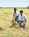 Crop damage aid: 85K farmers to get ₹112 cr14