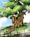 'Formal notification of heritage trees could encourage protection'31